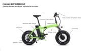 Dual-Drive Fat Tire E-bike Pro